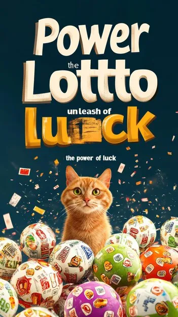 应用使用与权限概览